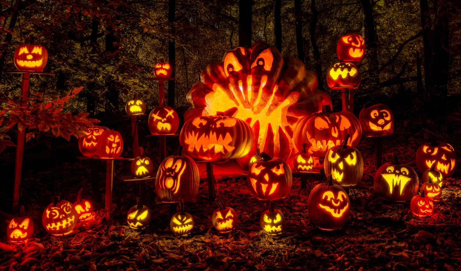 as we get ready to celebrate halloween for another year i ask myself some questions whats popular in costumes where did the holiday come from where do - Where Did The Holiday Halloween Come From as we get ready to celebrate halloween for another year i ask myself some questions whats popular in costumes where did the holiday come from where do - Where Did The Holiday Halloween Come From