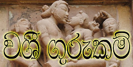 ඕනෑම කෙනෙක් වශී වෙනවද?