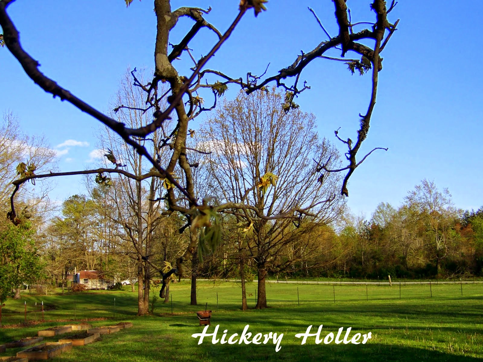 My Postage Stamps Collection Miniature Sheets Of Canada Pt 2