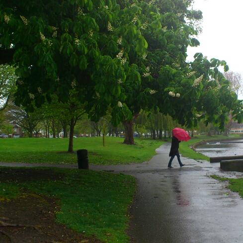 battling the elements