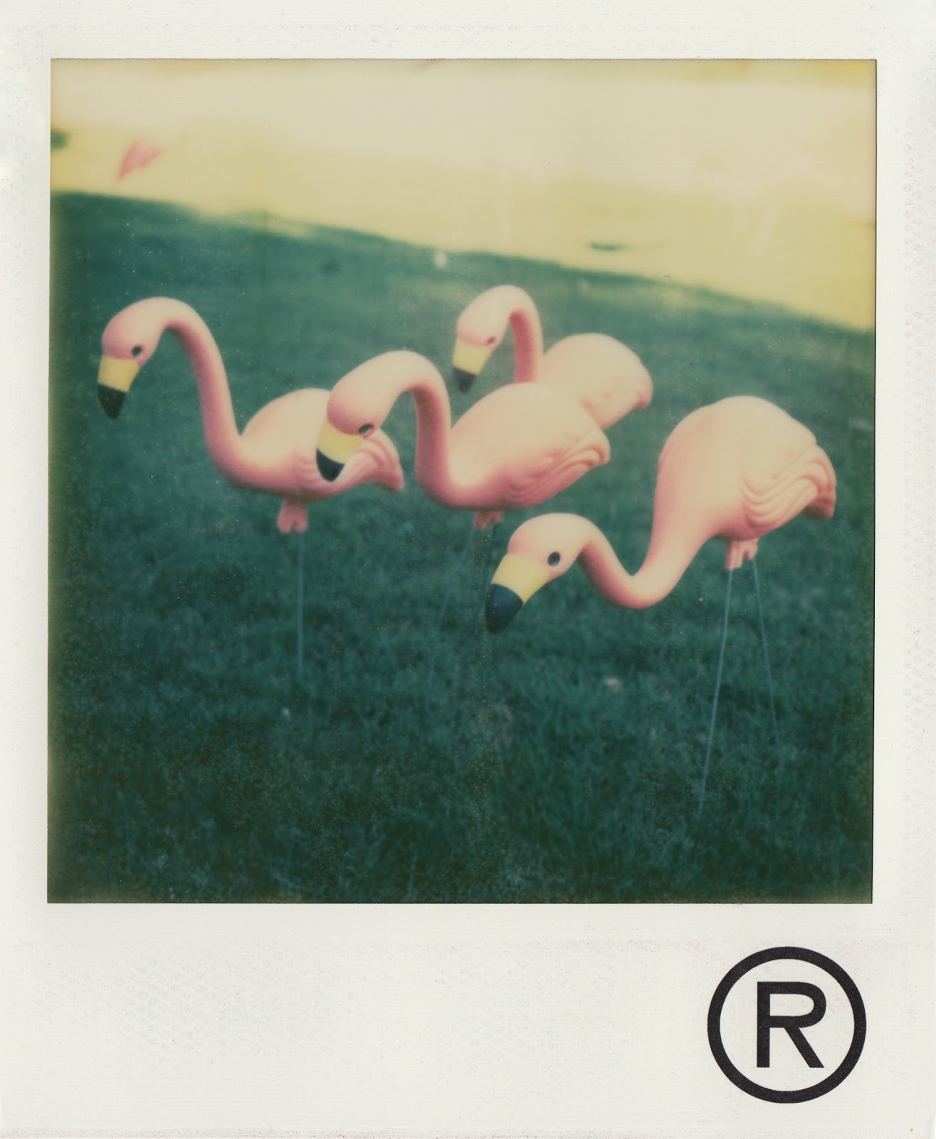 troy bradford instant photos: April 2012