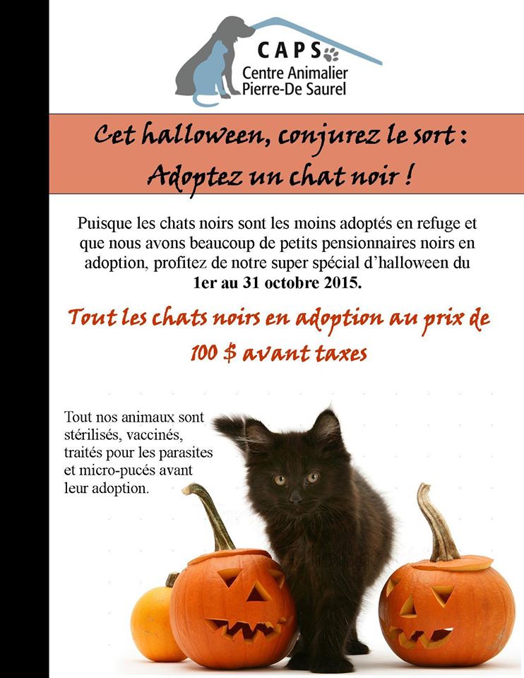 partition toutes ces rencontres