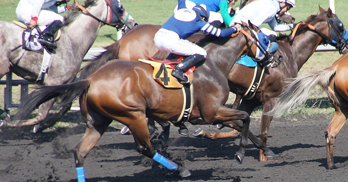 AMATEURCAPPER HOLLYWOOD GOLD CUP Finale to Remember