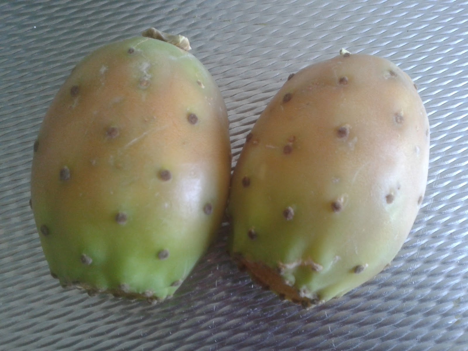 pitten eten