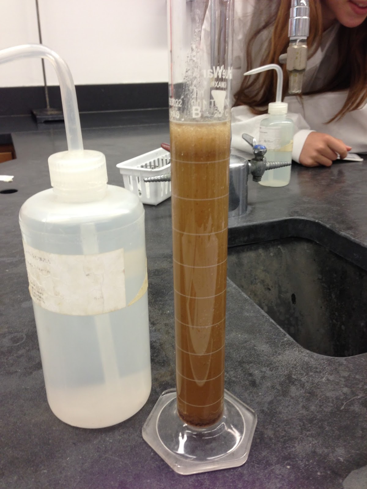 Juliet's Chemistry Blog Foul Water Lab Report