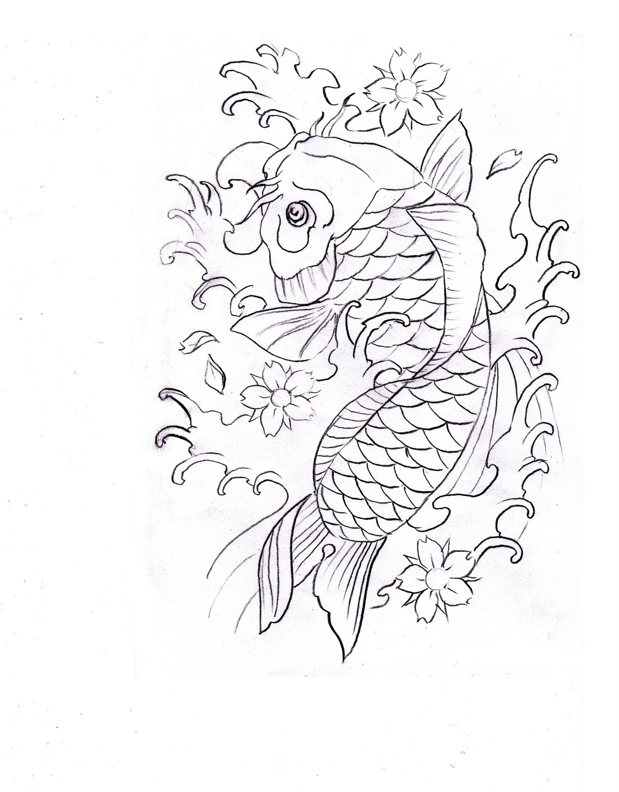 Koi Carp Sketch