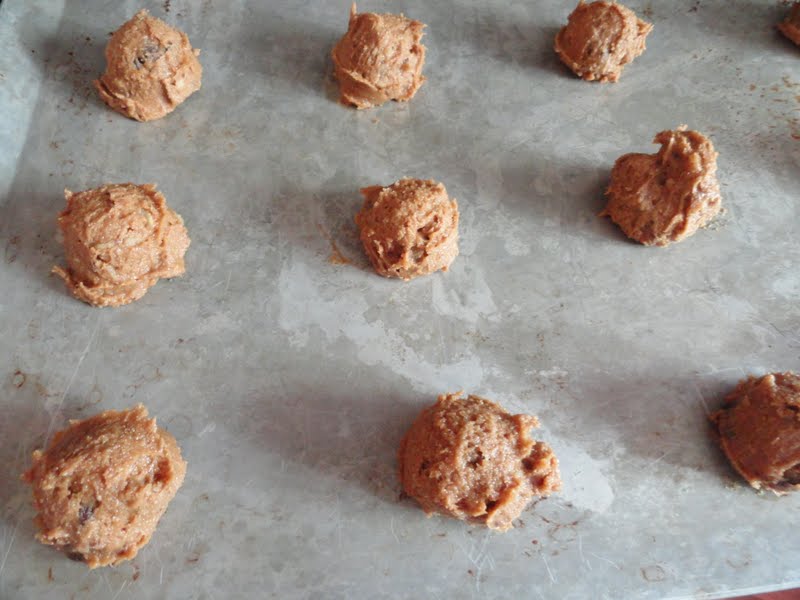 Molasses Chocolate Chip Cookies Serena Bakes Simply From Scratch