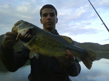 Black bass de 2k 450g