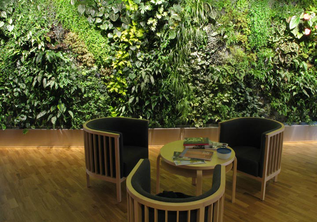 9 lindos jardins verticais de interior