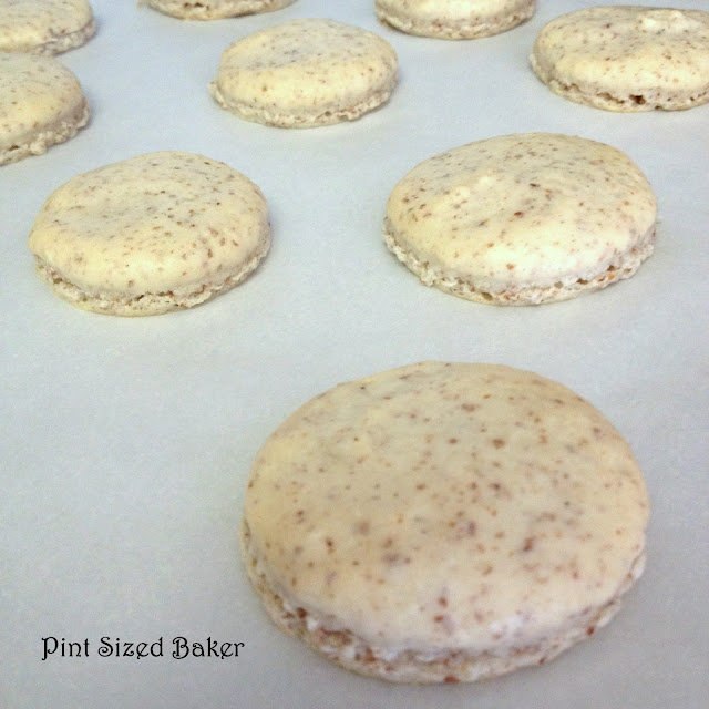 Macarons - Needs more work! 12 PS+Macarons+(30)