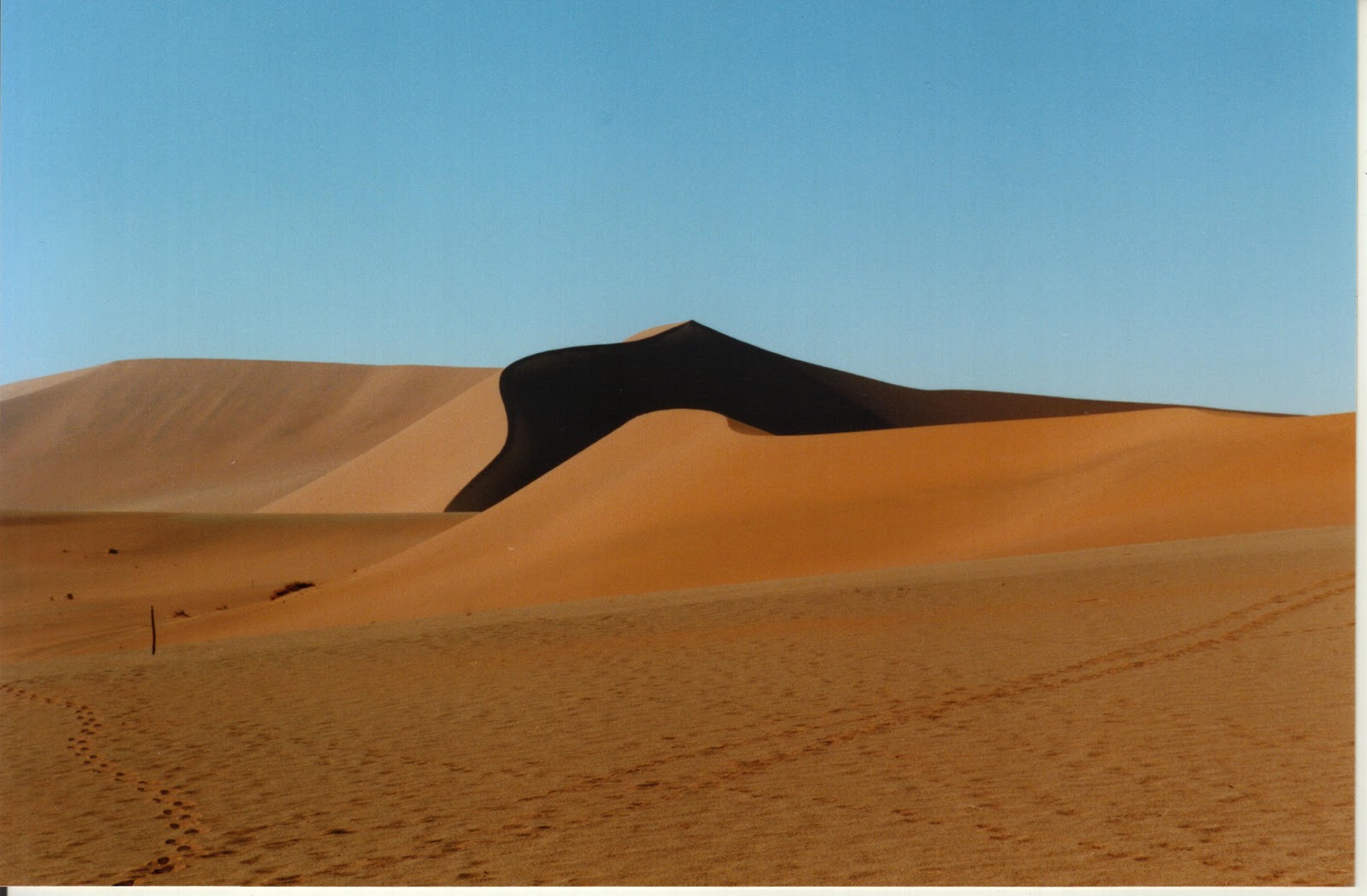 desert-enclosure.jpg