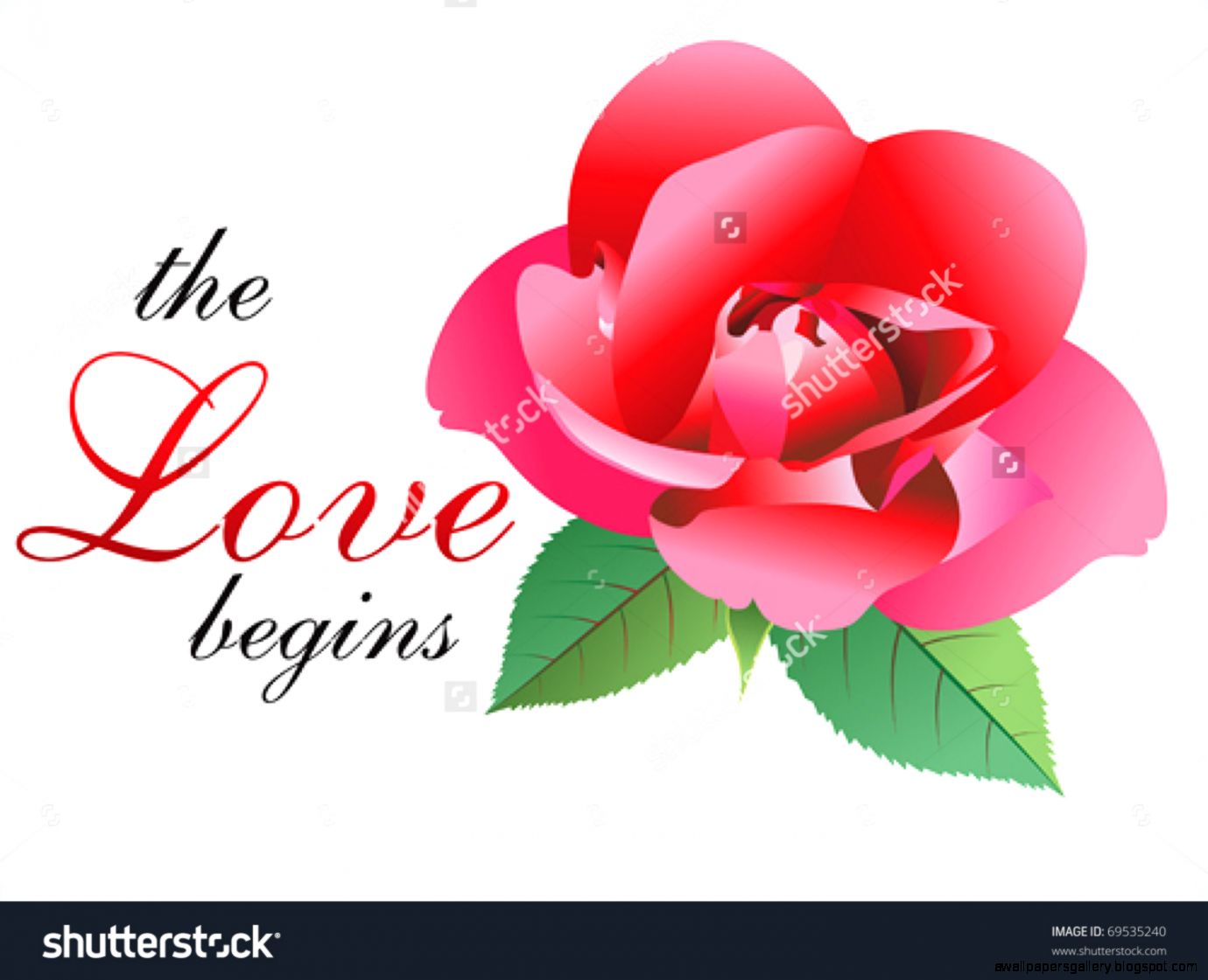 Abstract Love Rose Wallpaper Vector Illustration 69535240 Abstract Love Rose Wallpaper Vector Illustration 69535240