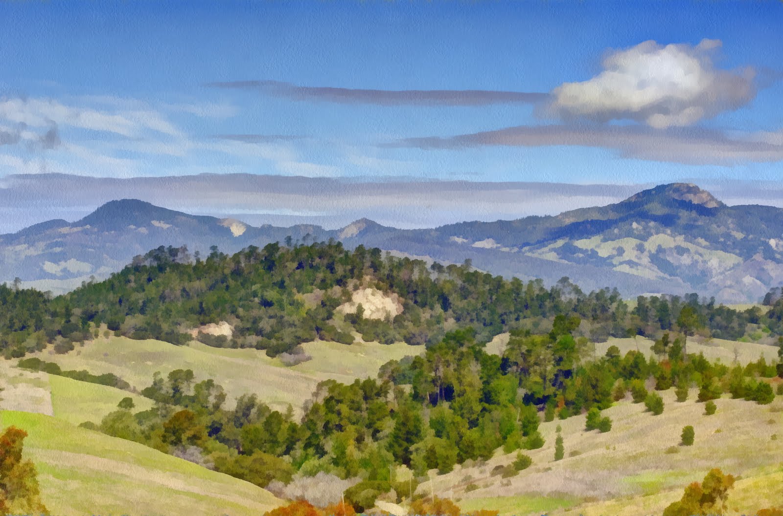 Catalott On The Road Cambria and San Simeon Landscapes