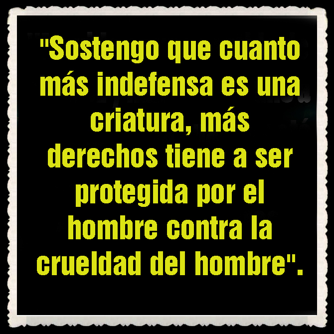 Resultado de imagen para âLa perfección es una pulida colección de erroresâ