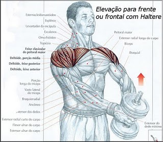 melhor academia de ginastica,exercicios para musculacao,como fazer exercicio para o gluteo,qual a melhor academia para malhar,exercicios para as pernas