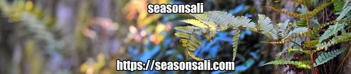 seasonsali