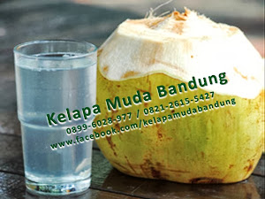 Kelapa Muda