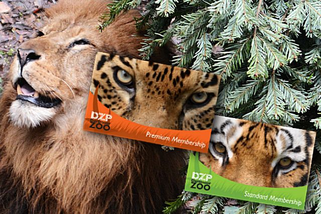 Dartmoor zoo deals