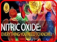 Best Nitric Oxide Supplements Reviews