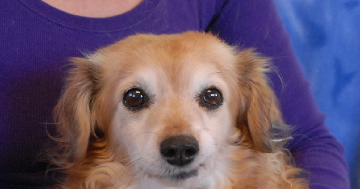 Does anyone want me?