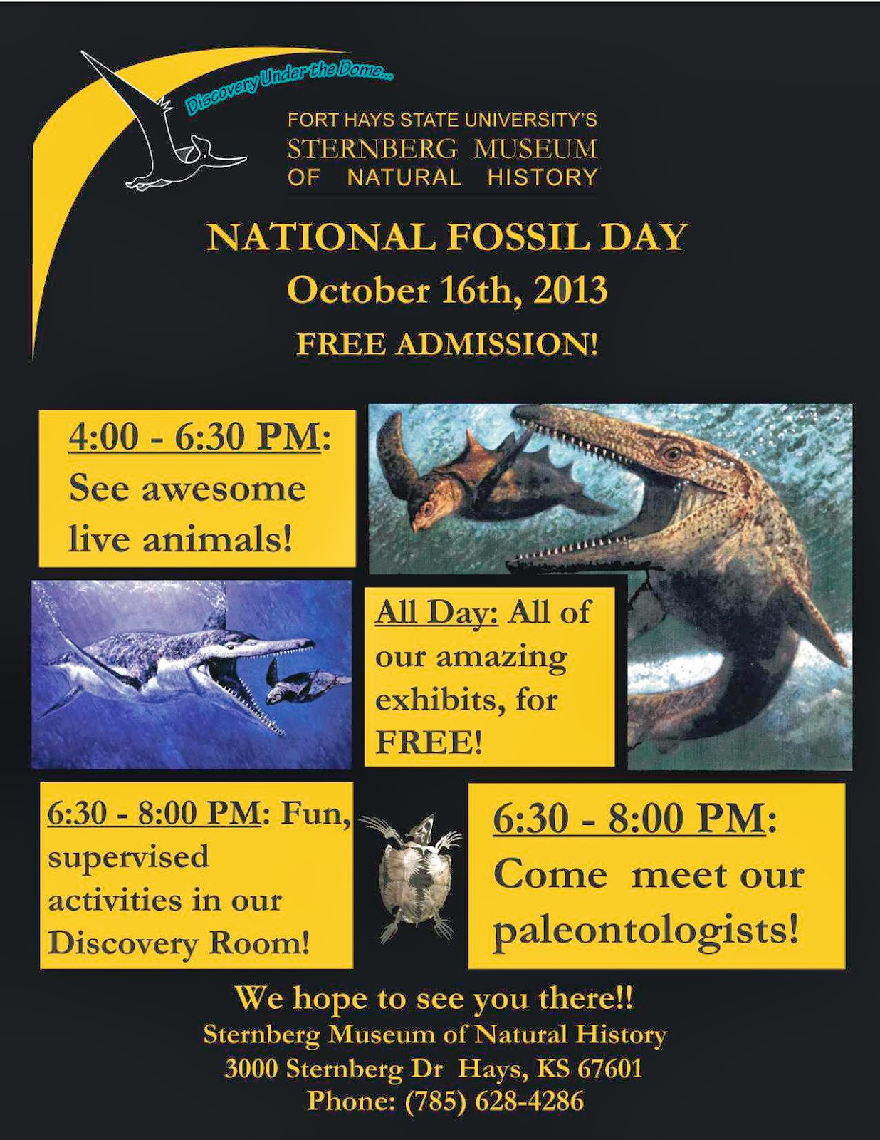 Discovery Under The Dome National Fossil Day Heading To A Museum Near You