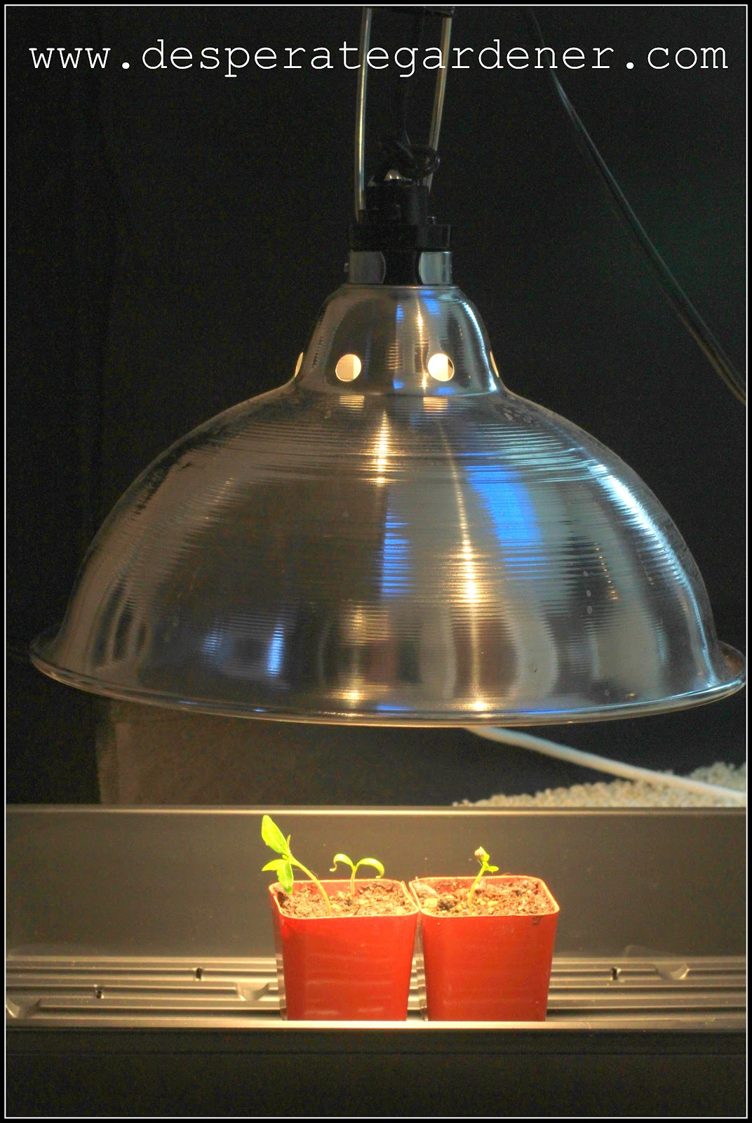 Desperate Gardener Artificial Light for Indoor Plants