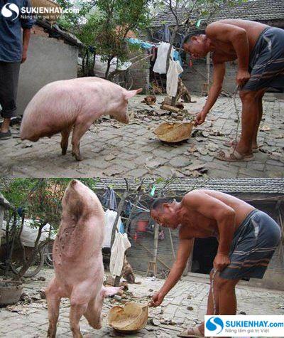 Những hình ảnh vui thời sinh viên