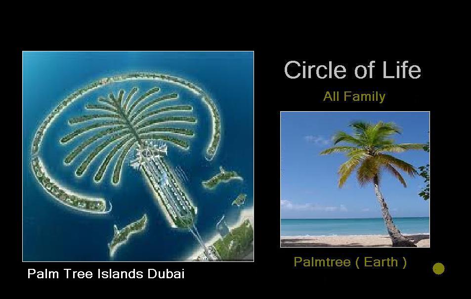 Family Life Circle