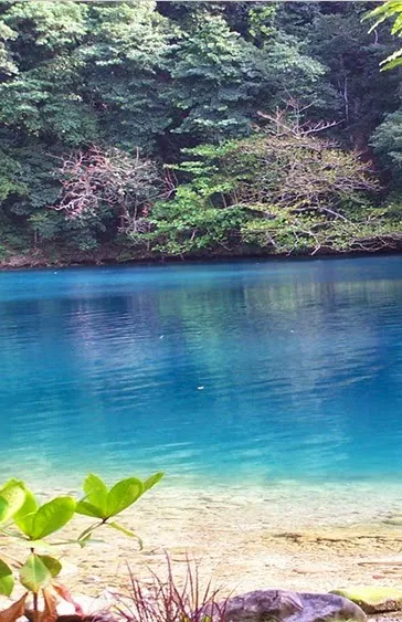  Blue Lagoon ,Jamaica