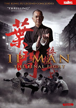 Ip Man: The Final Fight (2013)