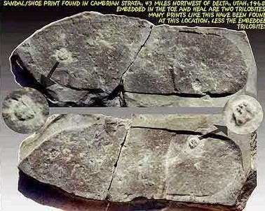 Huella trilobite%2B(1) Oopart : Huellas de Antelope Spring, una prueba imposible aplasto un artrópodos de 500 millones de años cuando el hombre no existía aún