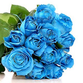 blue rose