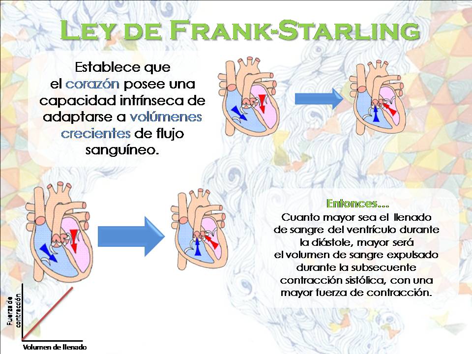 Mi Blog de Fisiología... Ley de FrankStarling