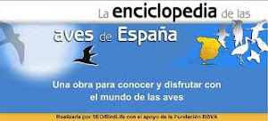 LA ENCICLOPEDIA DE LAS AVES