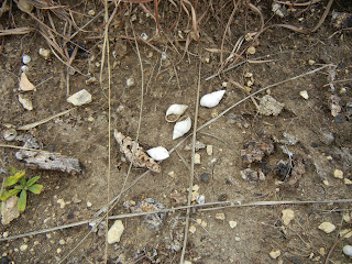 The Rimrock trail at the Balcones Canyonlands NWR