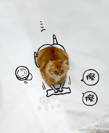 Kucing Yang Pasrah Kucing Yang Pasrah