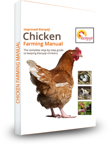 Poultry farming in kenya 2020 pdf picture