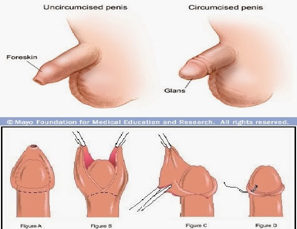 Dick and sex with an uncircumsized penis love