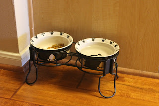 elevated pet bowls