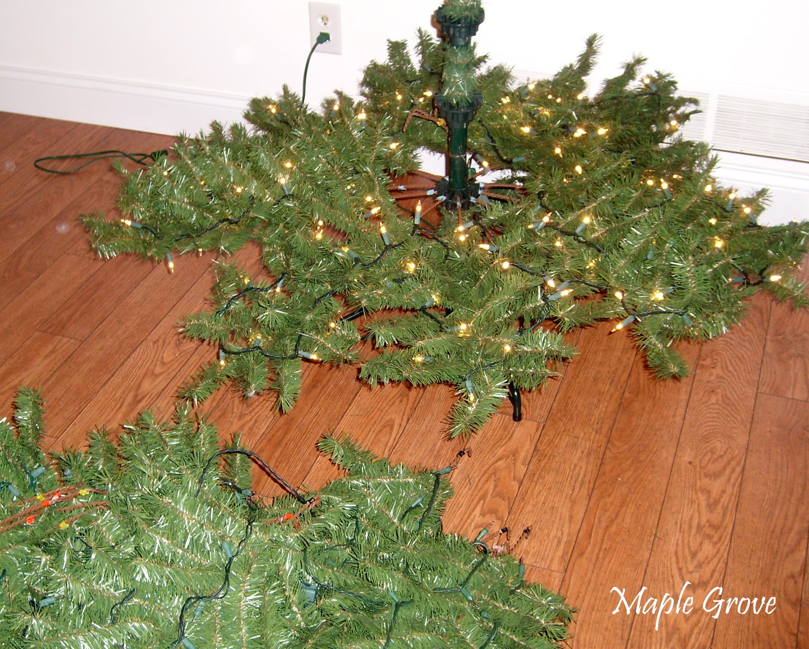 Maple Grove Christmas Decorating Series Part 2 Putting Up a Tree