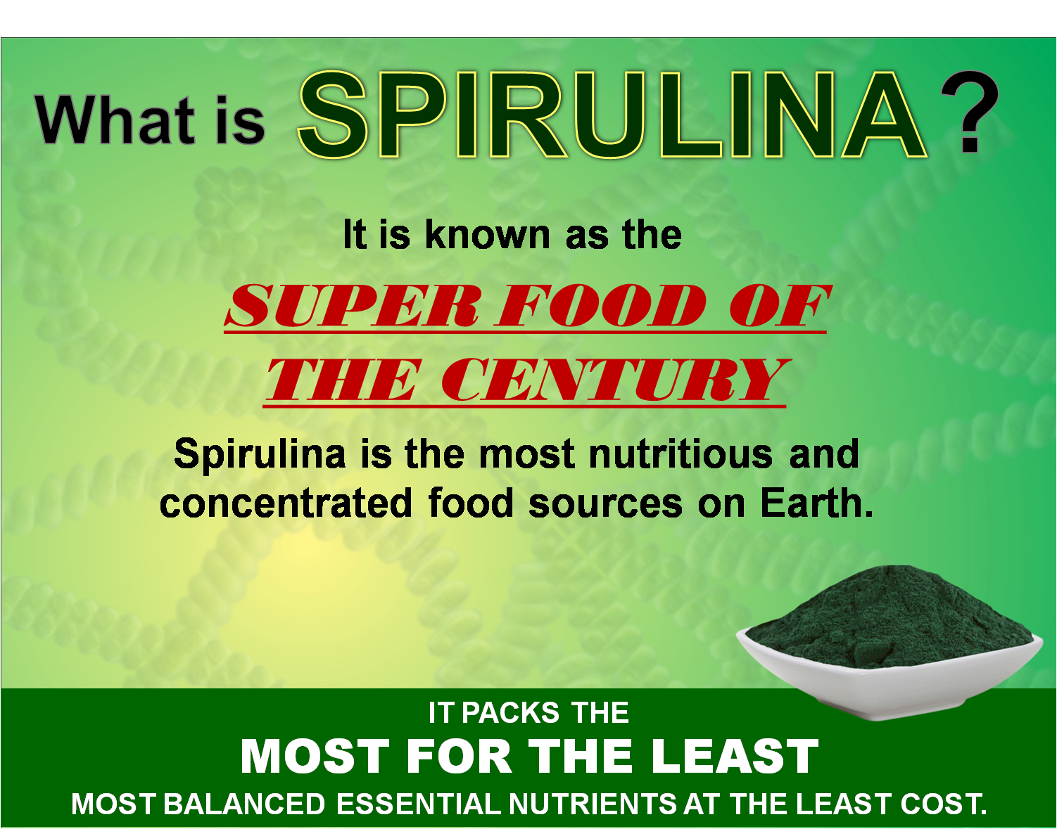 Take Back Your Health spiRO Meal That Heals