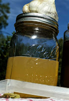 Garlic Honey Cold and Flu Immune Booster Syrup