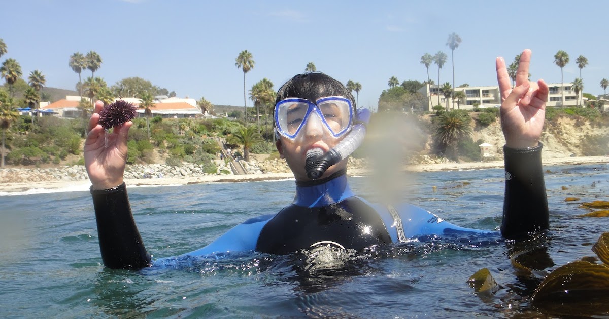 Happy Trails Snorkeling at Laguna Beach