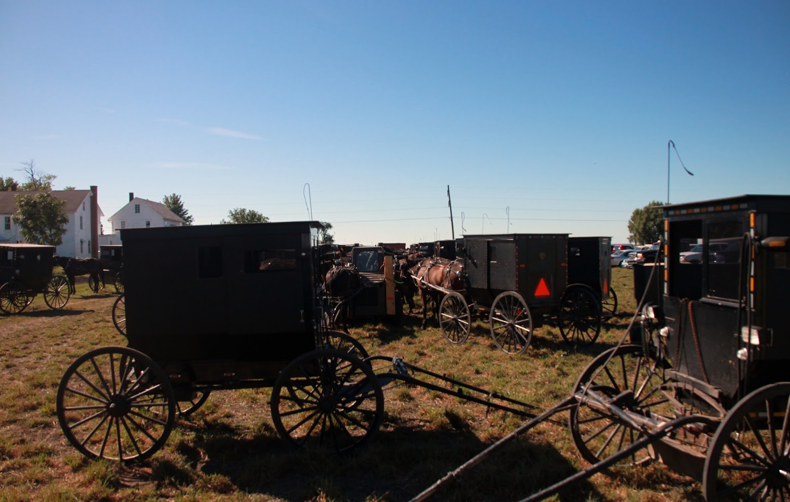 Retirement and Back to the Basics Amish Auction in Arthur Illinois in Pictures