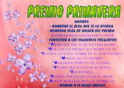 8º Premio