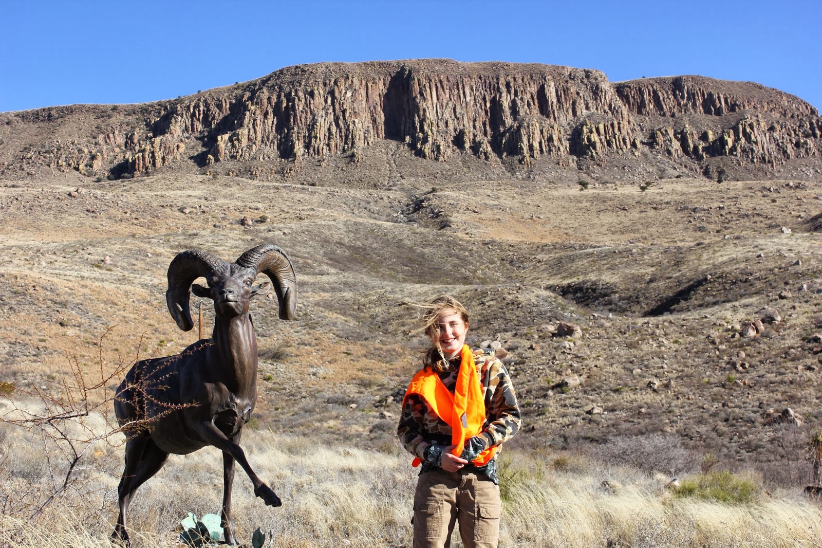 Hunting Land West Texas at Sandy Royalty blog