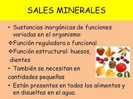 alimentos que contienen sales minerales la mochila de lola alimentos que contienen sales minerales la mochila de lola
