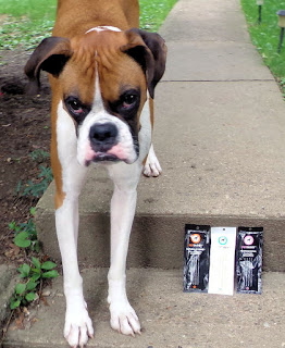 Petology Dog Shampoo Reviews Petology Dog Shampoo Reviews