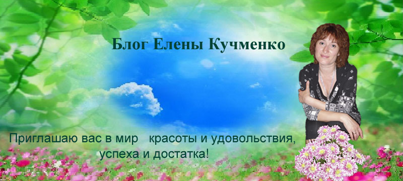 Блог Елены Кучменко