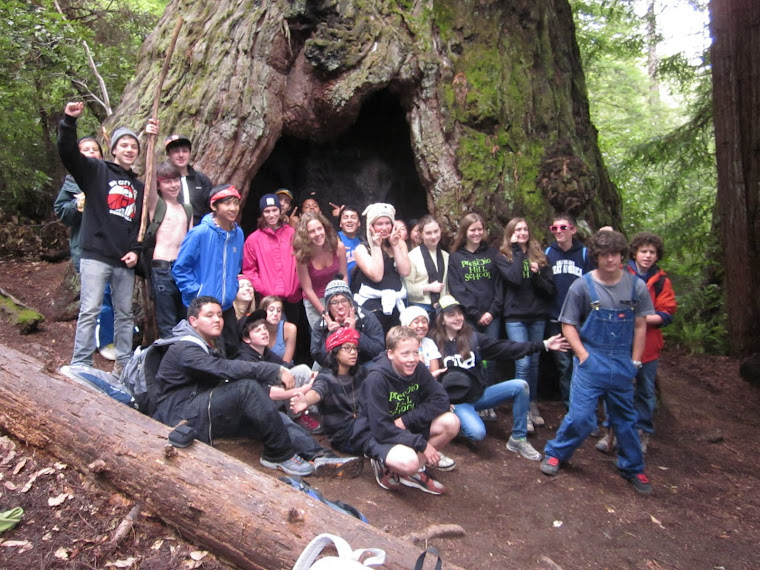 Class of 2011 at Big Tree